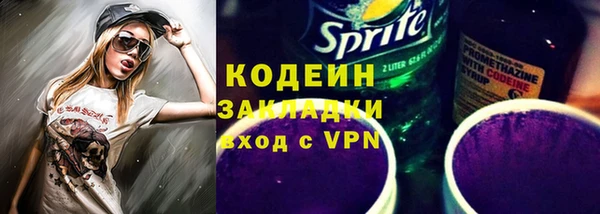 таблы Гусев