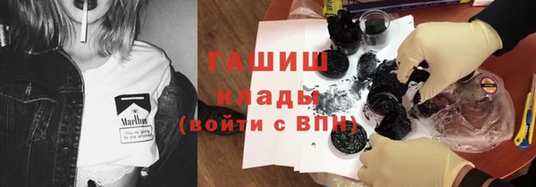 таблы Гусев