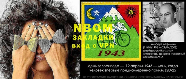 таблы Гусев