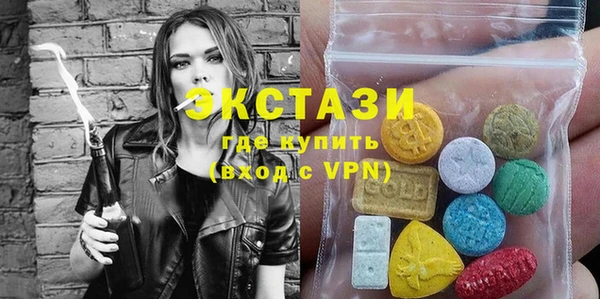 таблы Гусев