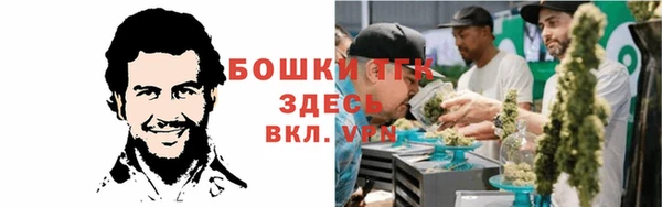 таблы Гусев