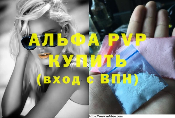 PSILOCYBIN Гусь-Хрустальный