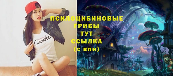 PSILOCYBIN Гусь-Хрустальный