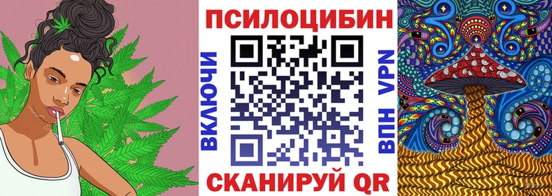 Купить где Еманжелинск Псилоцибиновые грибы Psilocybe